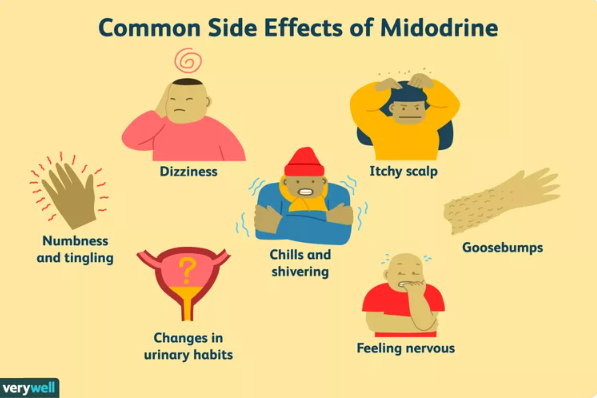 Side Effects Associated with Using Midodrine