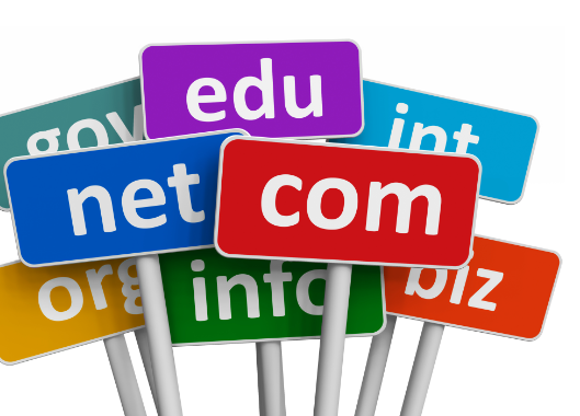 Types of Domains .net .com .edu .int .biz .info .gov .org