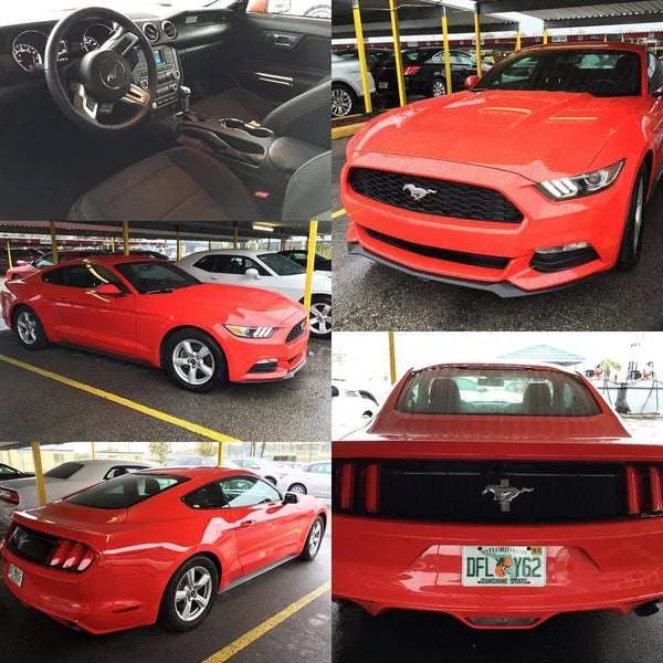 Fox Rent A Car - Rental Car Location