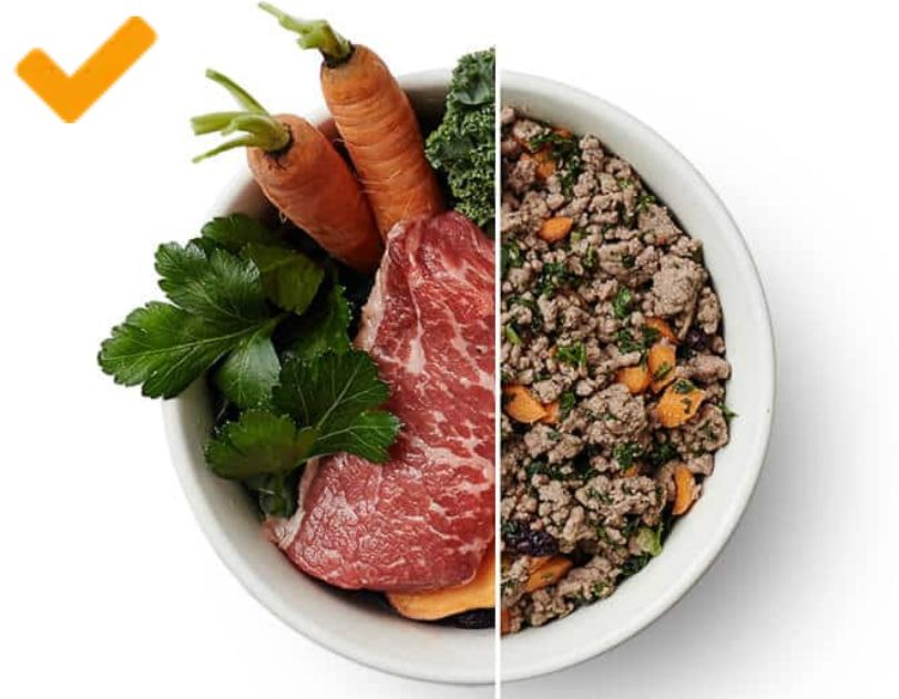 human-grade-dog-food