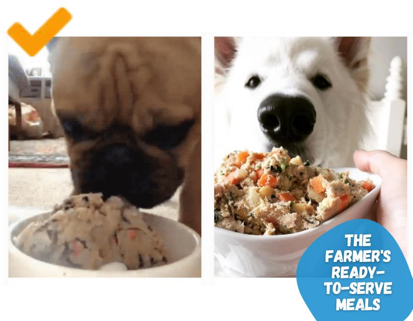 fresh-foods-for-pets