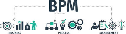 What is Business Process Management (BPM)
