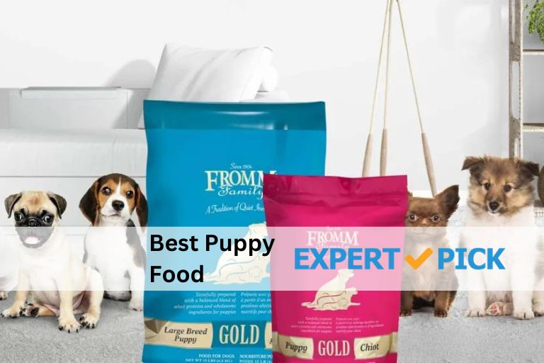 Best Puppy Food