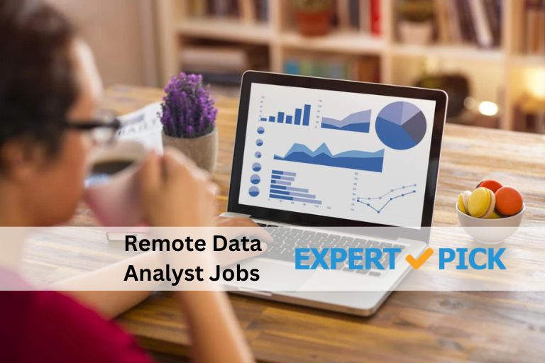 Remote Data Analyst Jobs