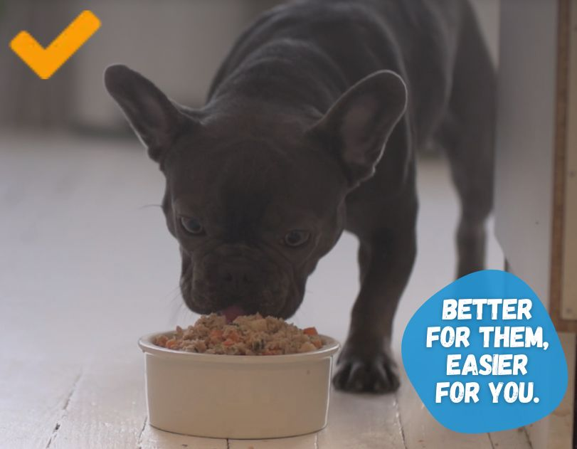 fresh-dog-foods