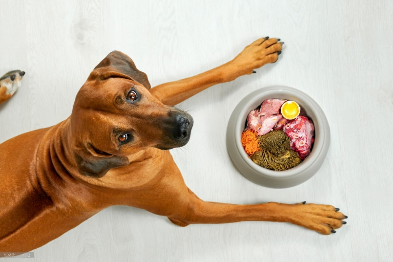 dog-beef-recipe