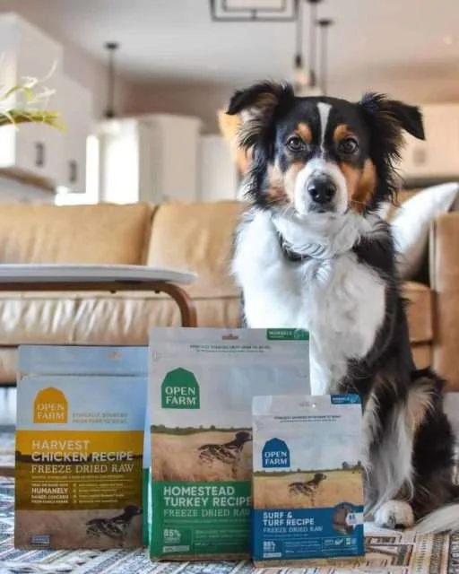 Open Farm Dog Food Nutritional Experts 