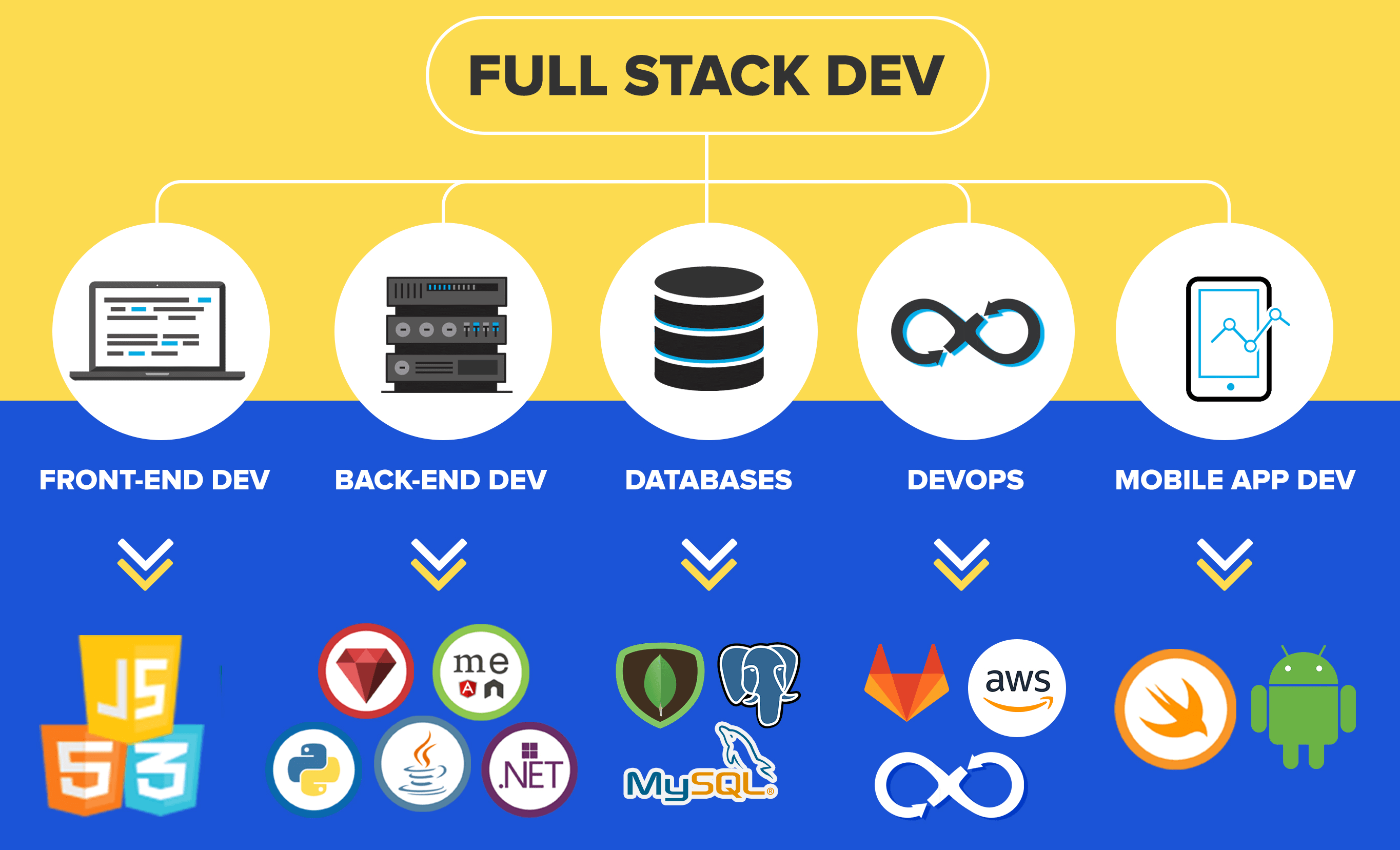 full stack dev