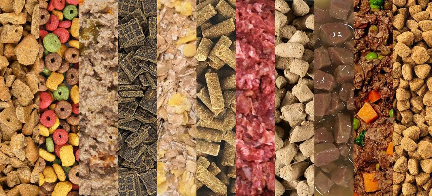 Types of dog food