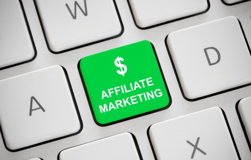 niche site profits online business