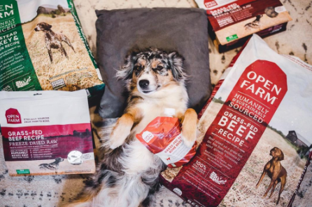 Open Farm Dog Food