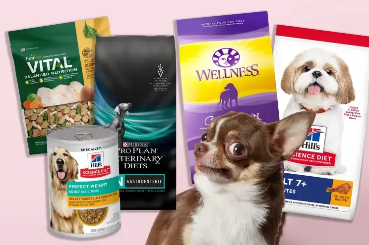 Puppy Food