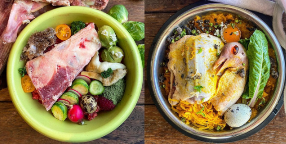 Raw Food Diet For Dogs - Is The Raw Food Diet Safe For Dogs?
