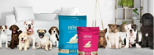 dog food
