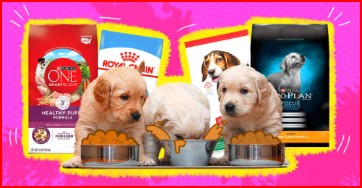 Puppy Food