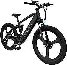 Electric Bikes