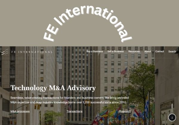 FE International website