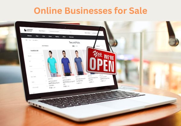Online Businesses for Sale