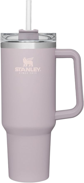 Instragammable Stanley Tumblers