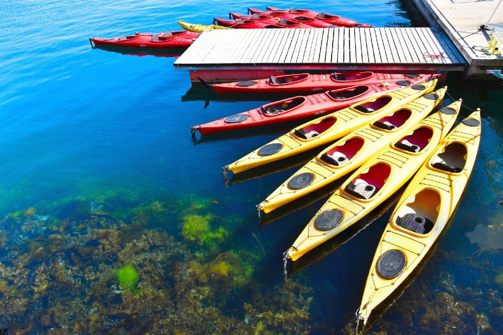 carbonfiber kayak