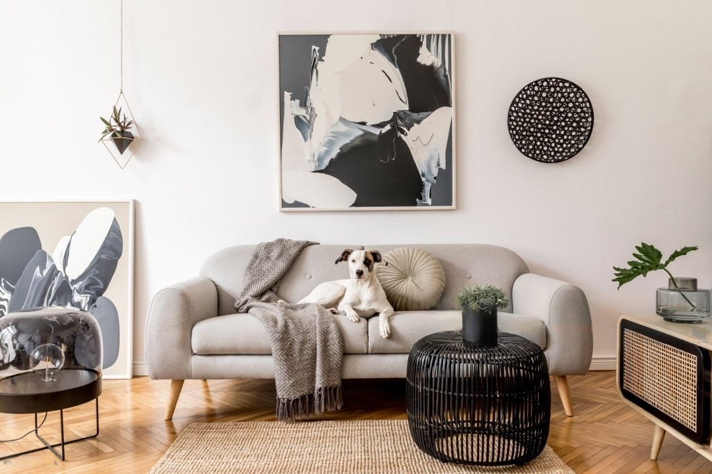 properly maintained modern carpets