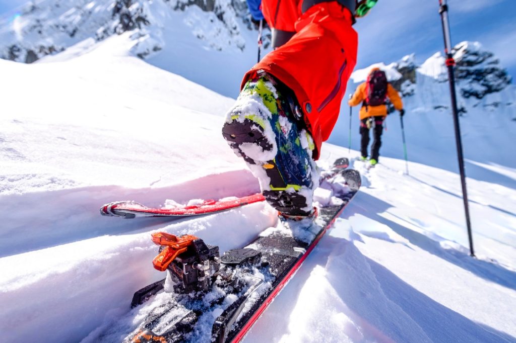 telemark skis