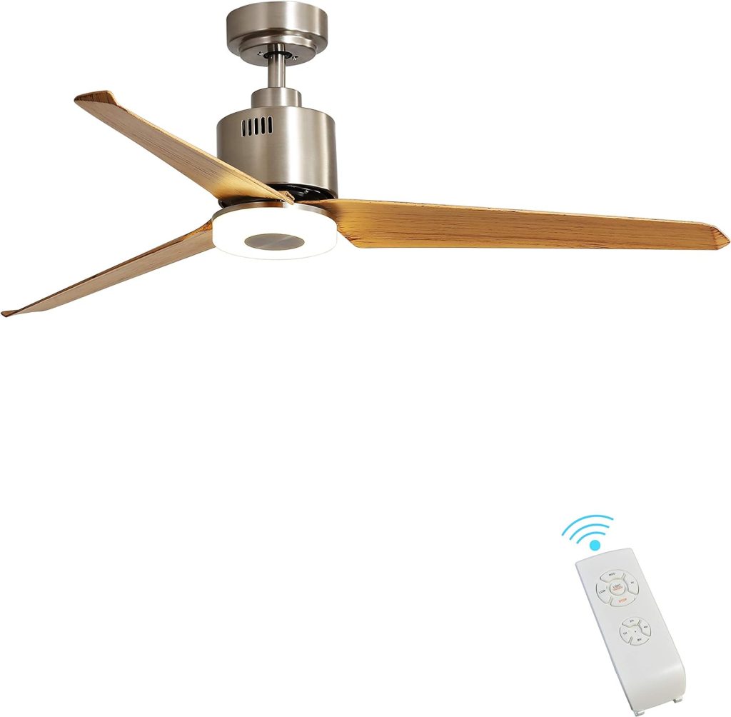 Ceiling Fan with Light