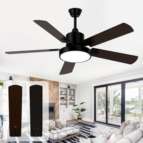 Ceiling Fan with Light