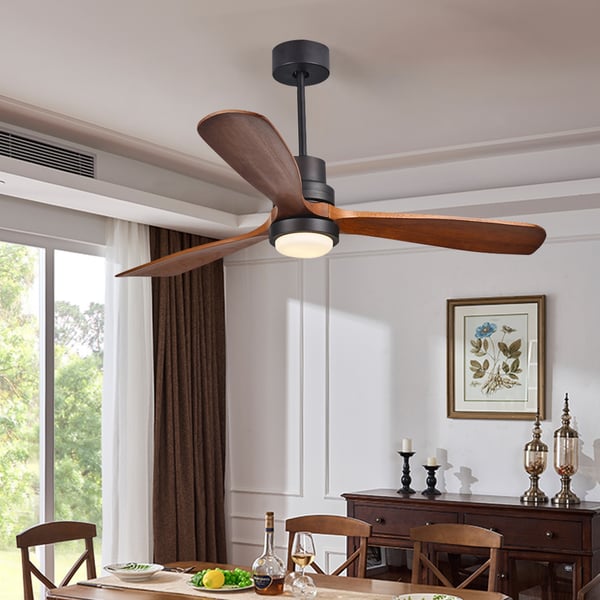 Ceiling Fan with Light