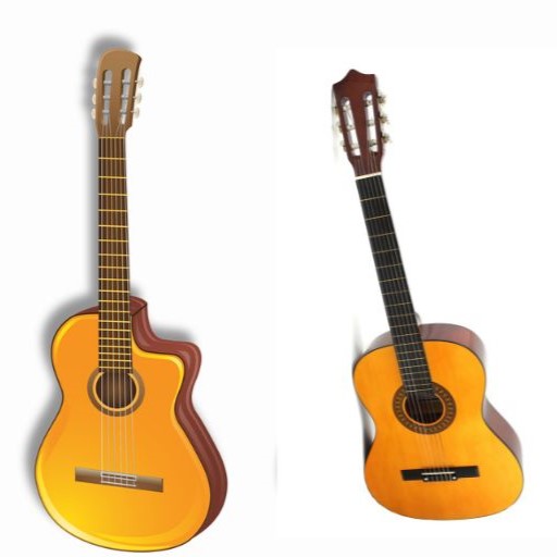 Acoustic Guitars