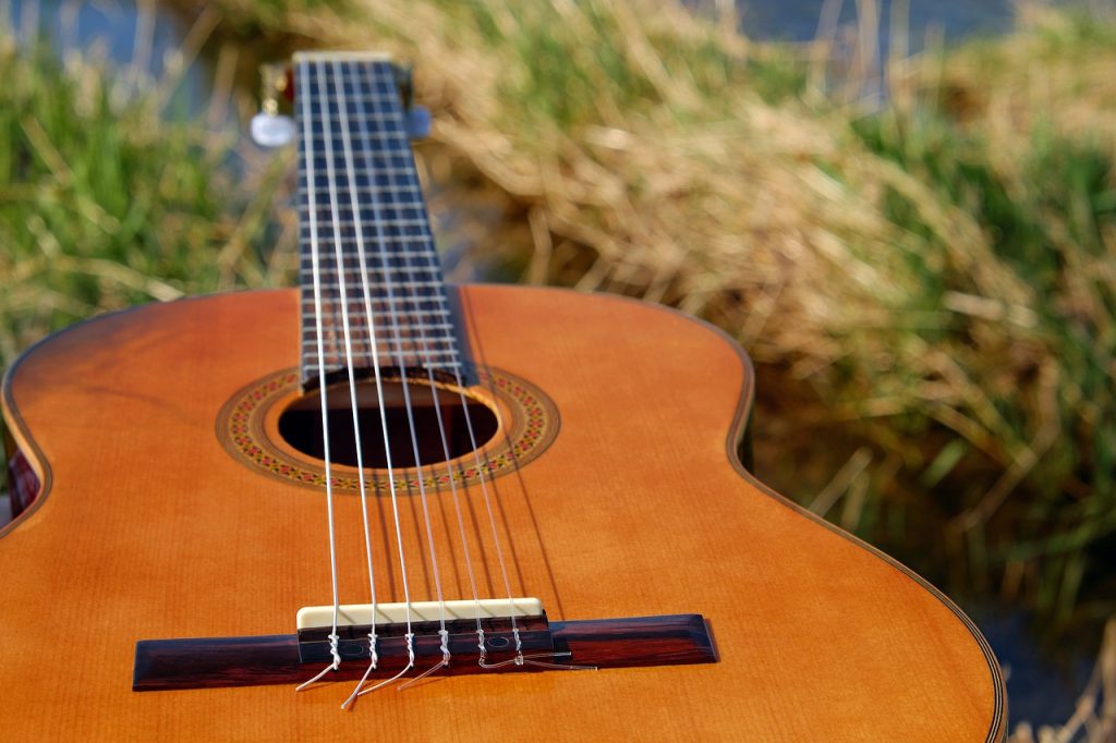 Entry-Level Guitar