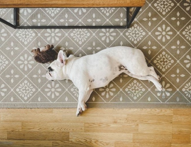 cost of hardwood and return on investment