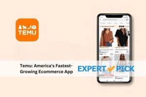 Temu: America's Fastest-Growing Ecommerce App