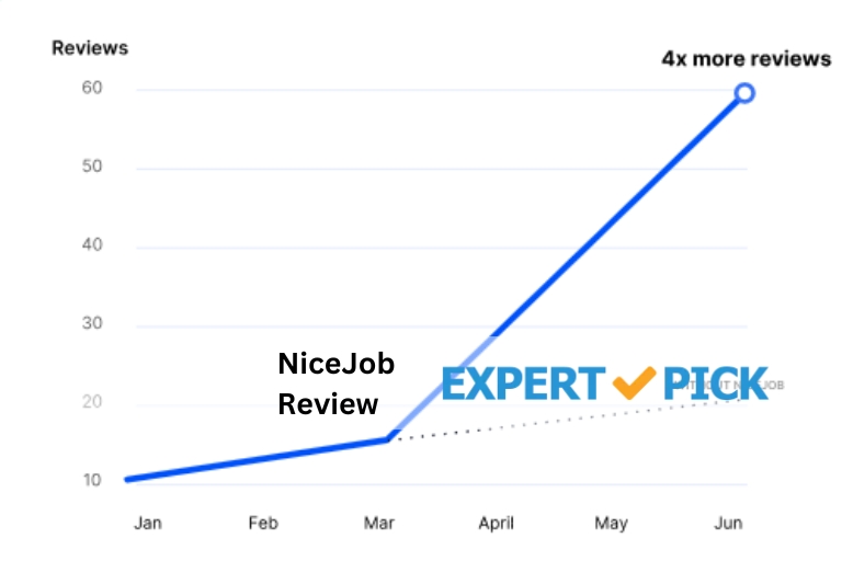NiceJob Review