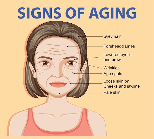 Signs of Aging Illustration